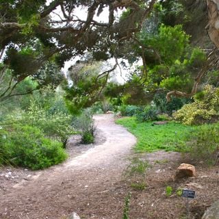 Jardin botanique de San Diego