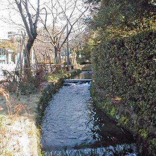 Tatsumi Canal