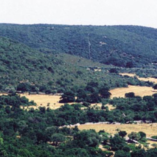 Murgia