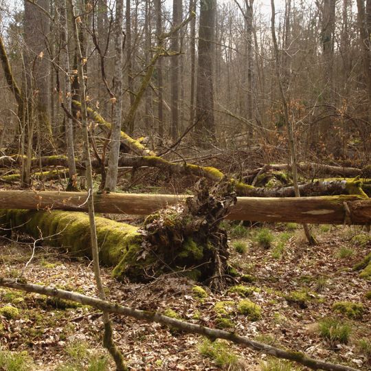 Podolany Nature Reserve