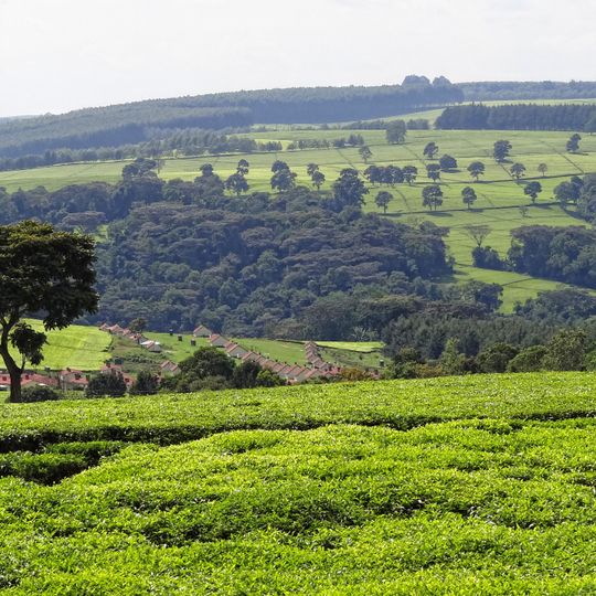 Kericho