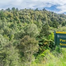 Paemako Scenic Reserve