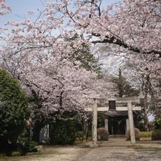 Yuki Castle