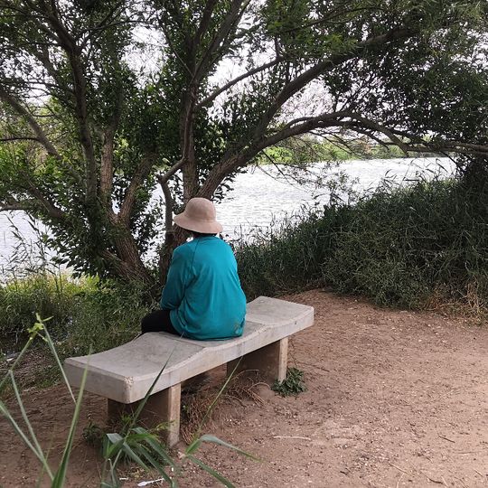 תצפית נחמדה המשקיפה על האגמון עם ספסל