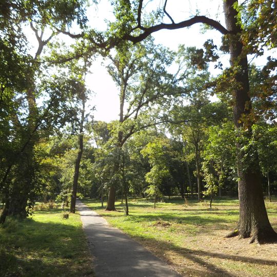 Park Tysiąclecia