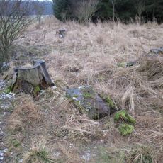 Kříž západně od Horních Kozolup u lesa