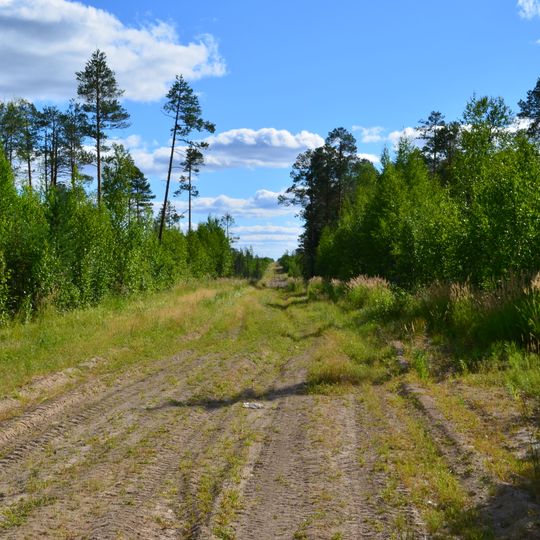 Nefteyugansky District