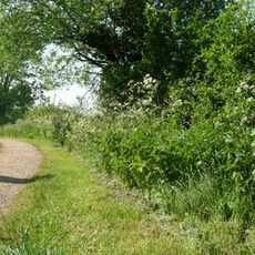 Milestone At Ss998133