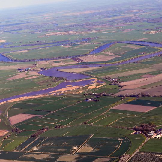 Eider