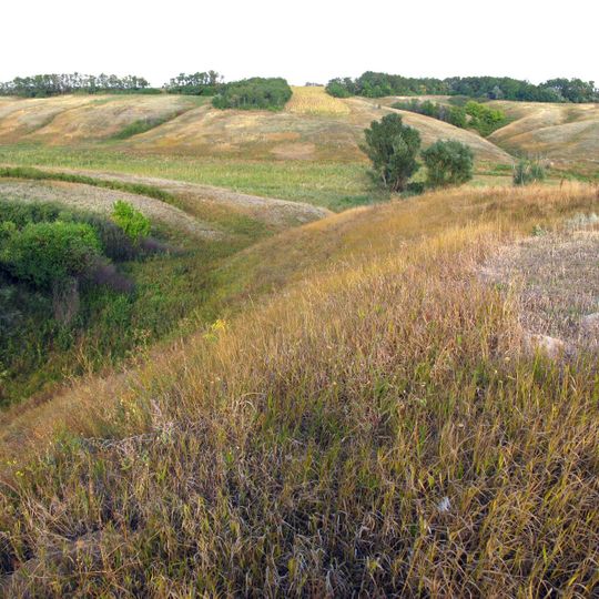 Balka Yahidna Reserve