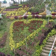 JVR Island in the Sky Resort