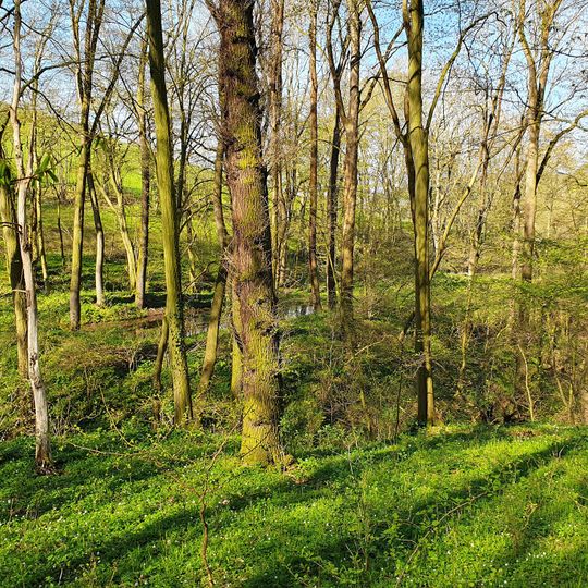 Pond at Johannismühle