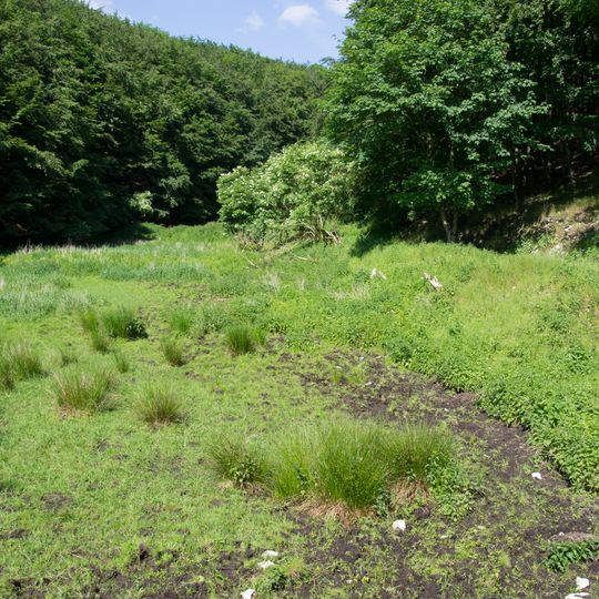 Östlicher Teutoburger Wald