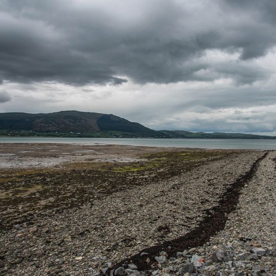 Carlingford Shore