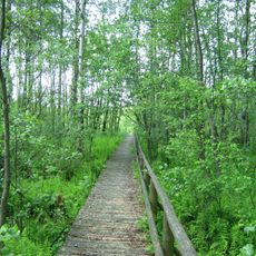 Nature reserve Torfowisko Serafin