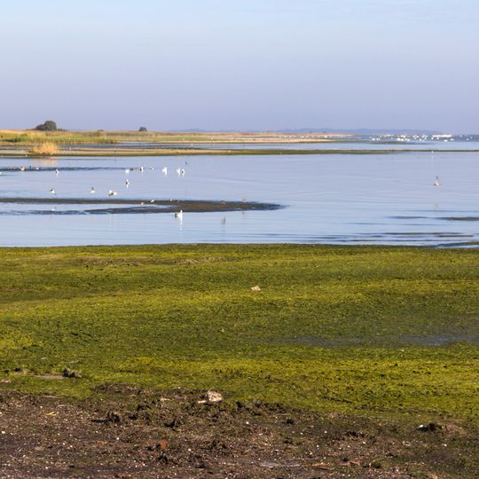 Greifswalder Bodden, Teile des Strelasundes und Nordspitze Usedom