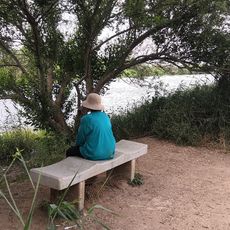 תצפית נחמדה המשקיפה על האגמון עם ספסל