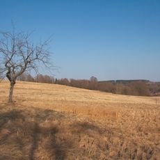 Pašínovická louka