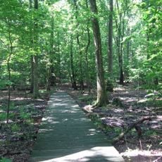 Elizabeth Hartwell Mason Neck National Wildlife Refuge