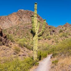 Picacho Peak State Park
