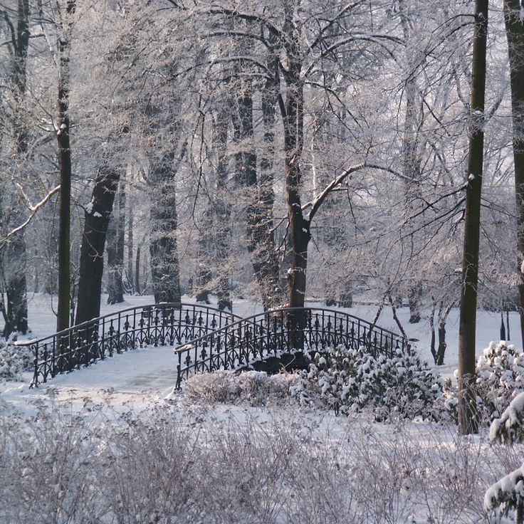 Szczytnicki Parkı