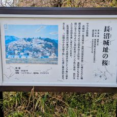 Naganuma castle