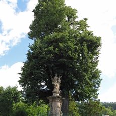 Mariánská lípa