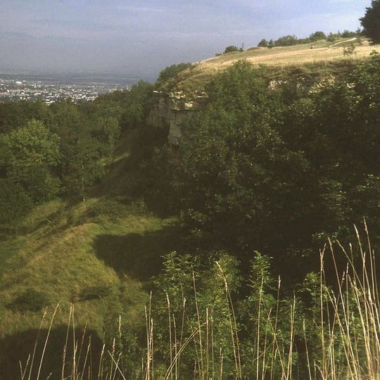Leckhampton Hill and Charlton Kings Common
