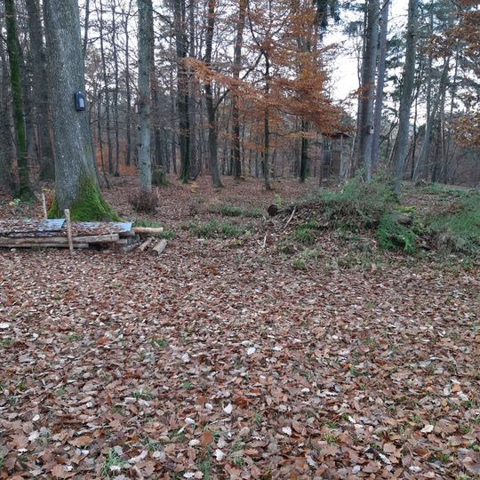 Burgstelle Hebelstein