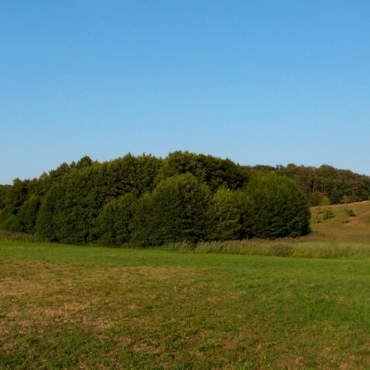 Feuchtgebiet nordöstlich von Oßhalden