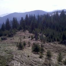 Sulzkopf