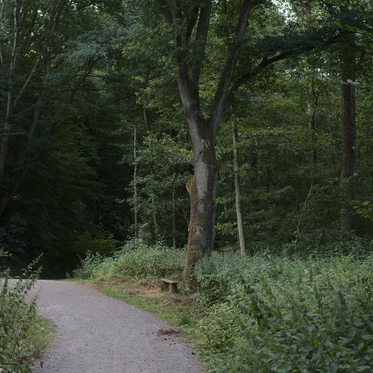 Stadtwald Voelklingen