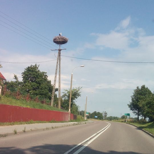 Kąp