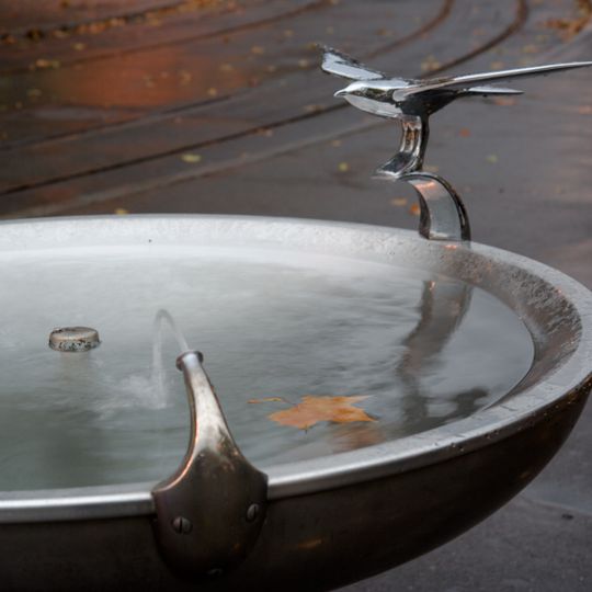 Brunnen mit Möve