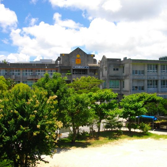 Koza High School
