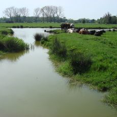 Sudbury Common Lands