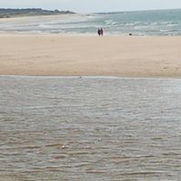 Cádiz ili