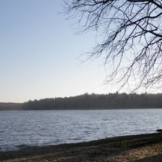 Белое