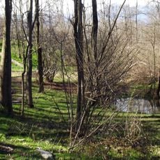 Palude di Romano Canavese