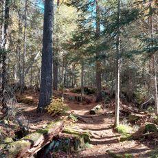 White Bear Forest Conservation Reserve