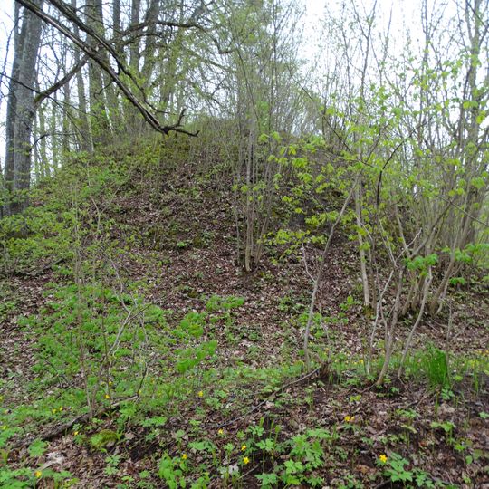Žarijos 2nd hillfort