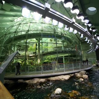 Botany and Aquarium of the Academy of Sciences of California