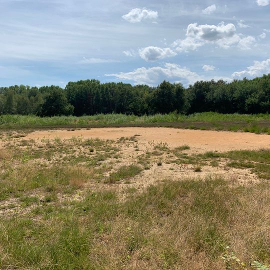 Lande tourbeuse des Oignons