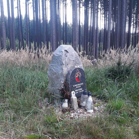 Památník na Tondu Stejskala v lese jižně od Chotěmic