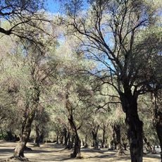 Parc Départemental du Pian