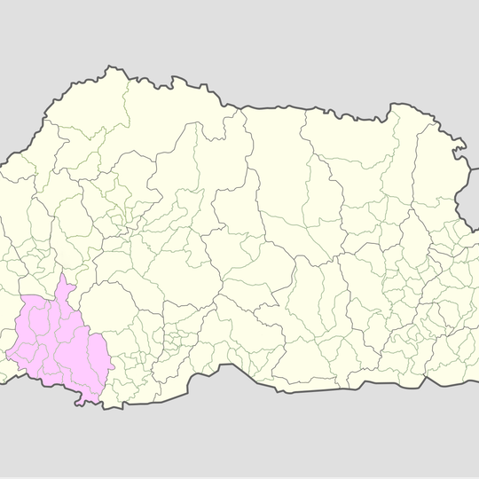 Gewog di Phuentsholing