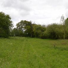 Ashdon Meadows