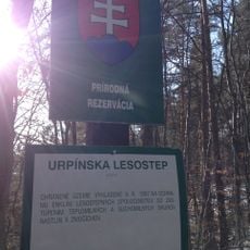 Urpinska lesostep