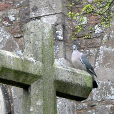 Churchyard cross 3m south of Bradninch church