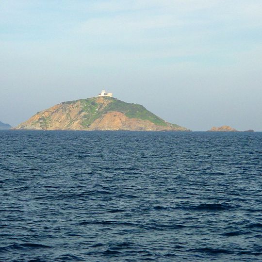 Palmaiola